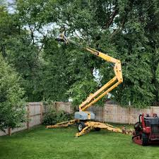 Trusted Congers, NY Tree Removal and Landscaping Services Experts